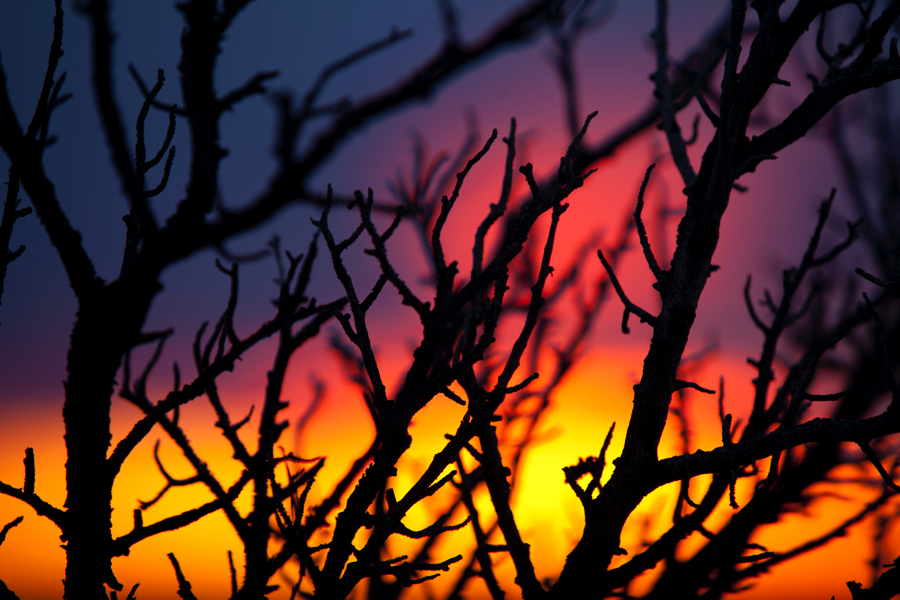 Sunset Contrast Grand Canyon Photo Tips