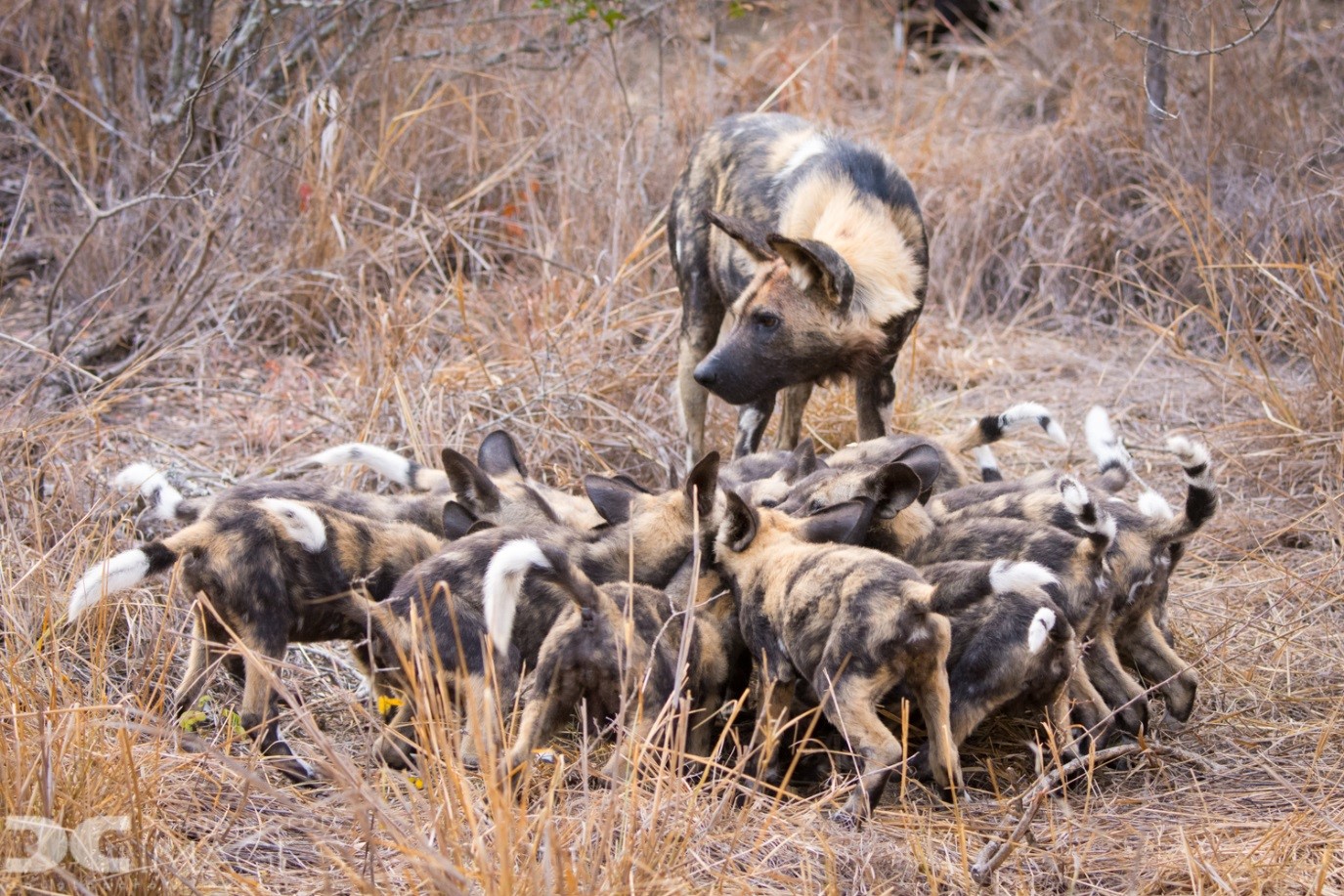 Winner of our March Photo Challenge – “Together Possible”