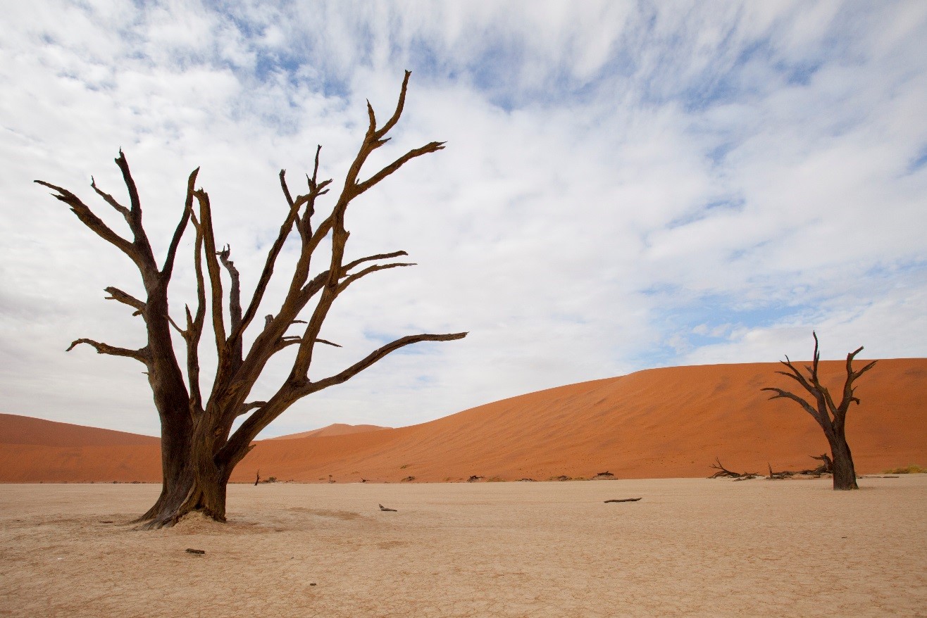What’s in My Camera Bag? Namibia