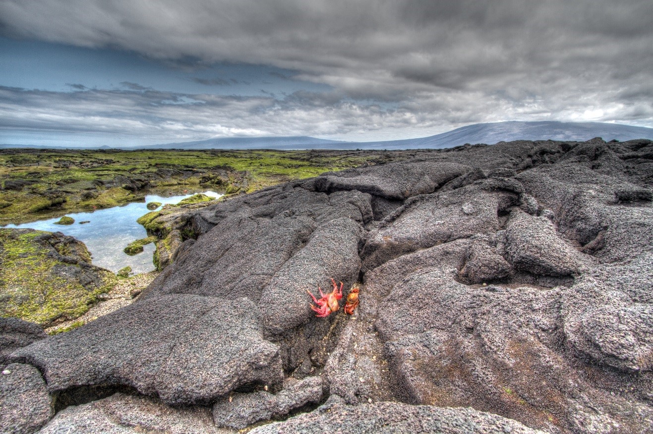 Basics of HDR Photography