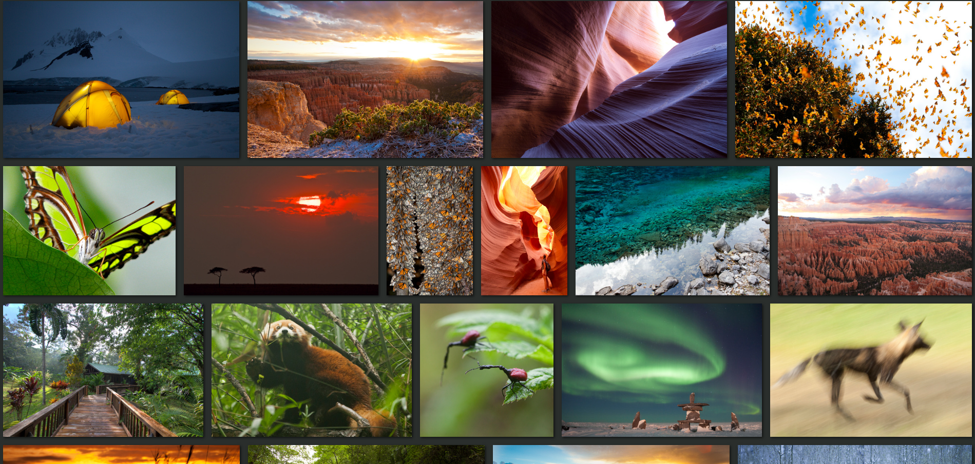 New Year, New Travel Photo Tips for 2020