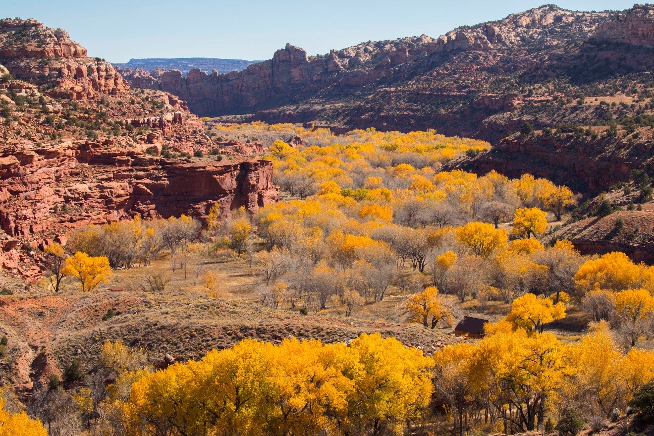 When and How to Change your Camera’s White Balance Settings