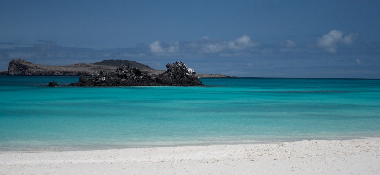 Do you Need a Polarizing Filter for Nature and Wildlife Photography Expeditions?