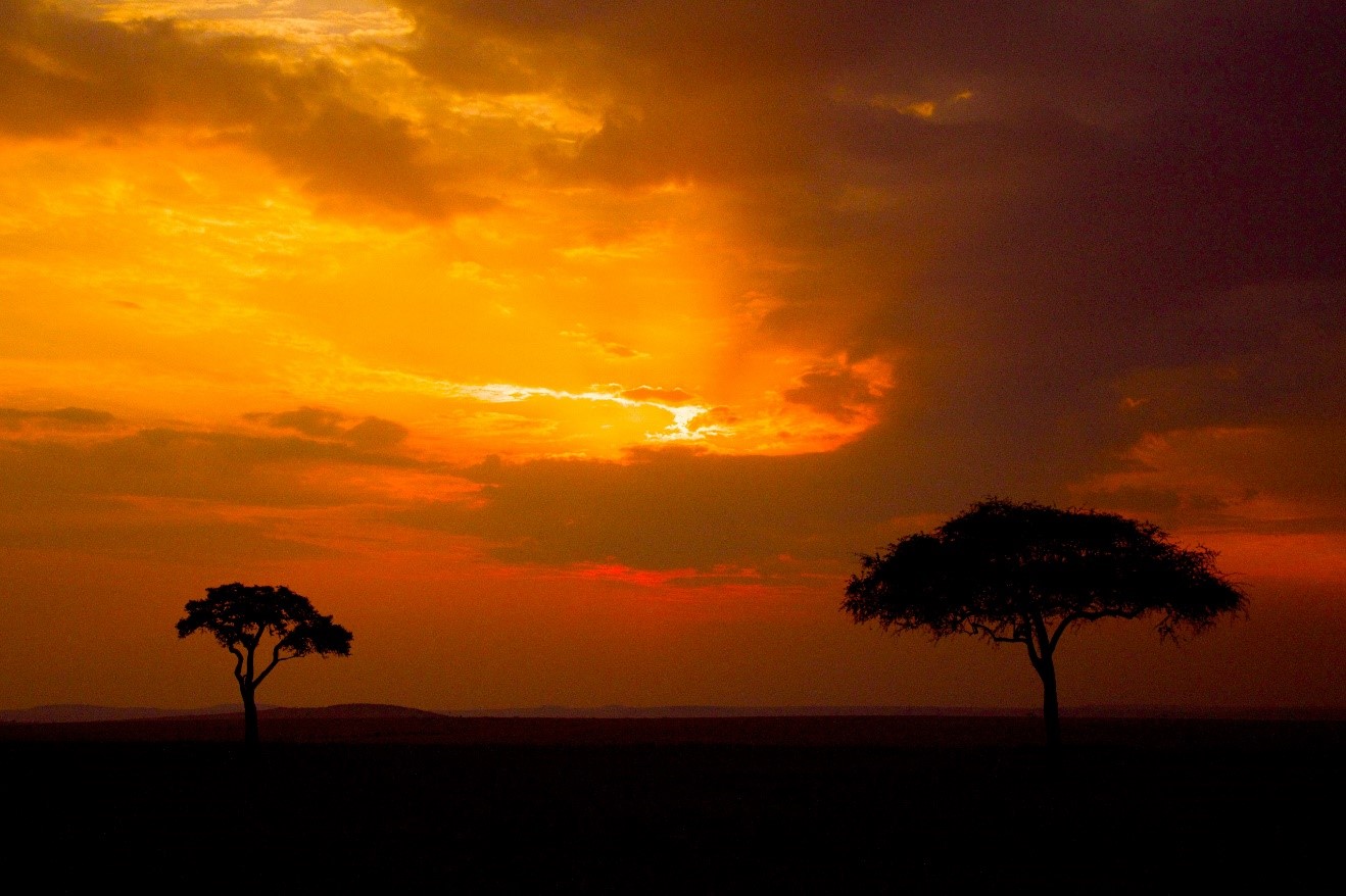 3 Tips for Photographing Kenya’s Maasai Mara