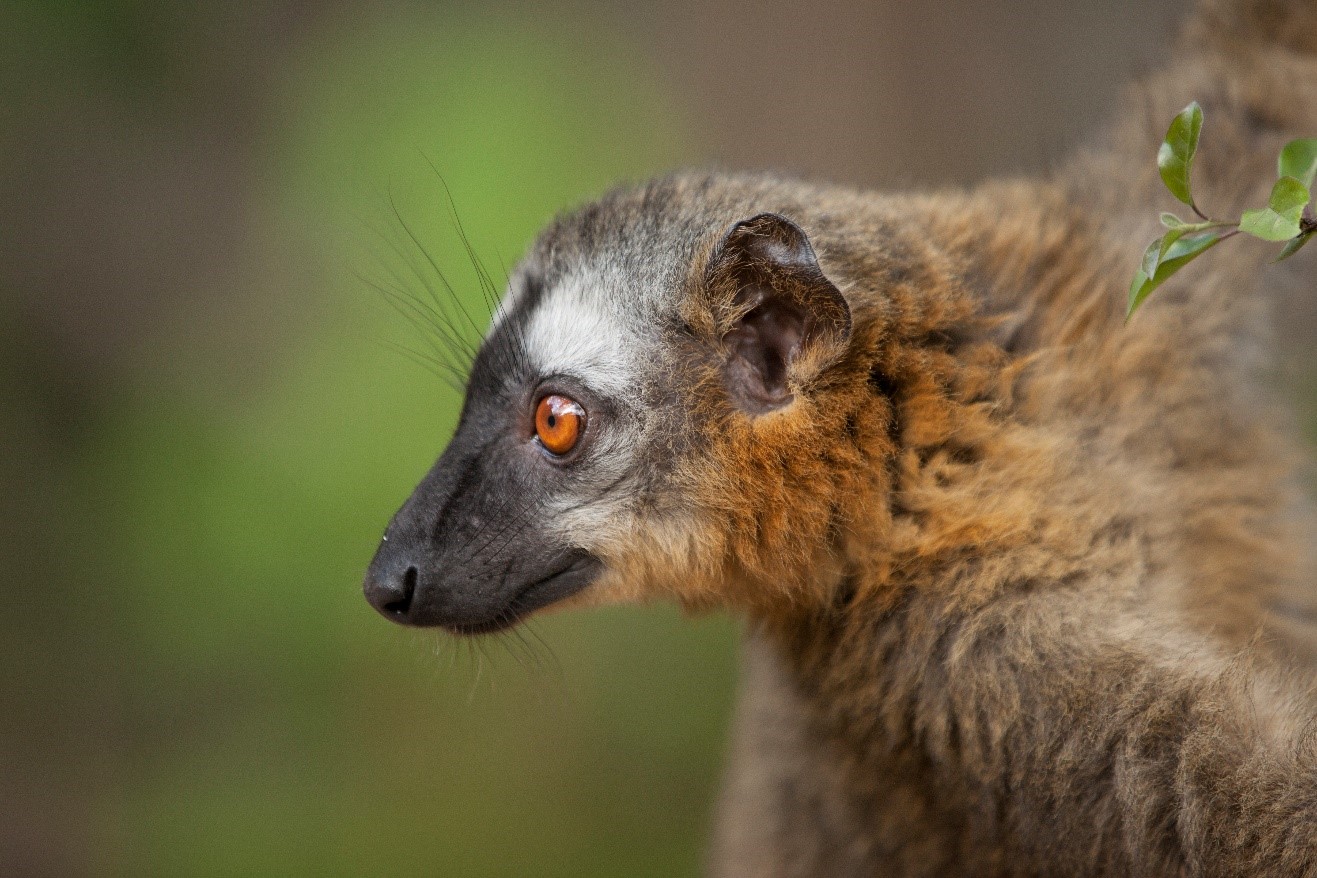 What’s in my Camera Bag? Madagascar Photo Adventure