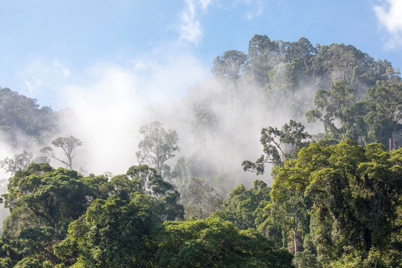 How to Prevent your Camera from Fogging in Tropical Environments