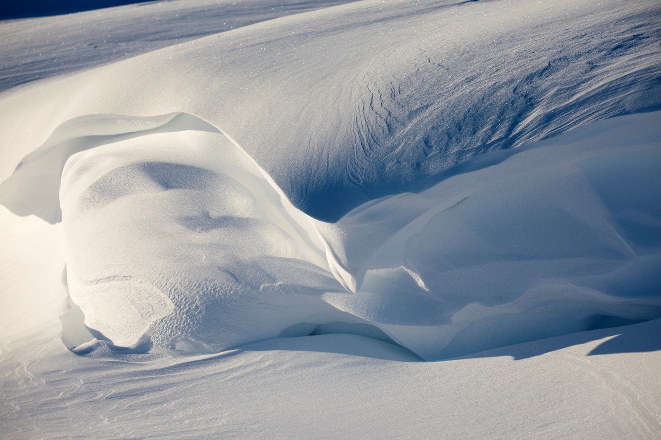 When and how to adjust your camera’s exposure for arctic photography