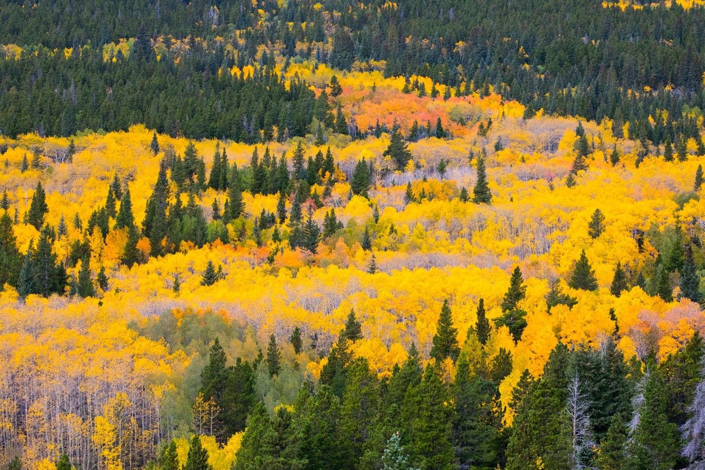 Gearing up for a Colorful Fall