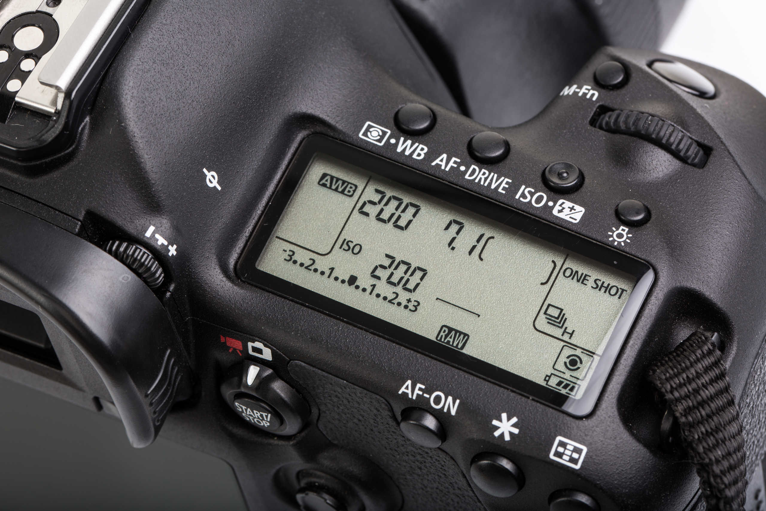 NEW Shot Settings – Wild Dog in Africa