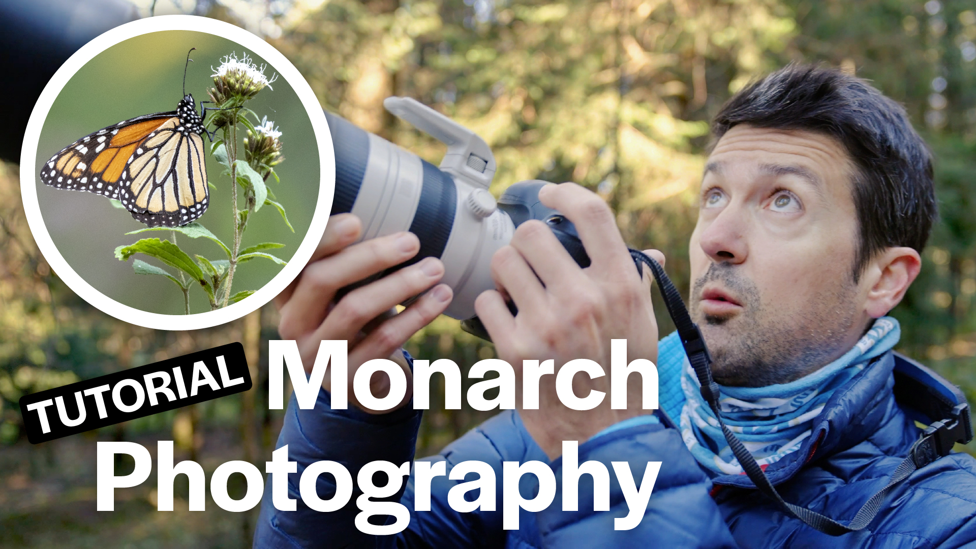 Video Tutorial on Monarch Migration Photography